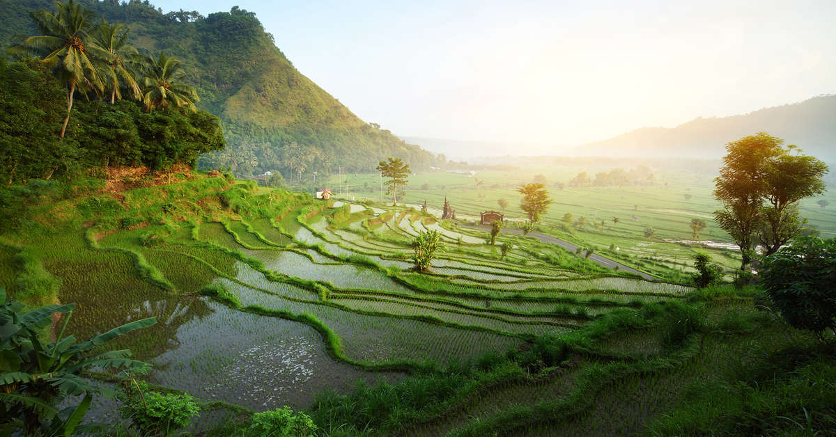 Prachtige reizen naar Bali